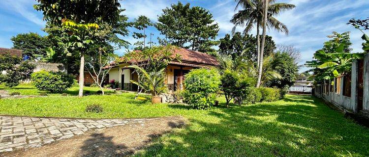 Rumah Dgn Tanah Luas Di Kota Bogor 1