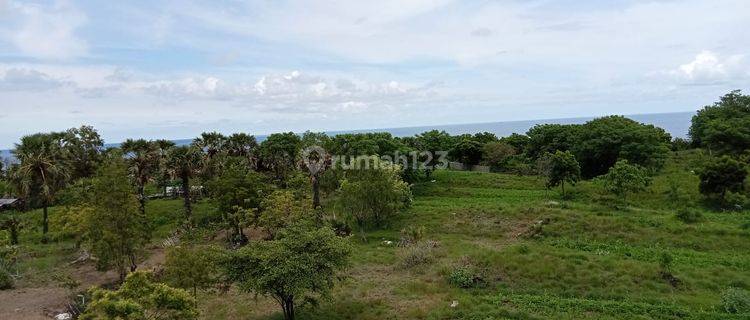 350 Sqm Land For Villa, Ocean Mountain View At Crystal Tulamben 1