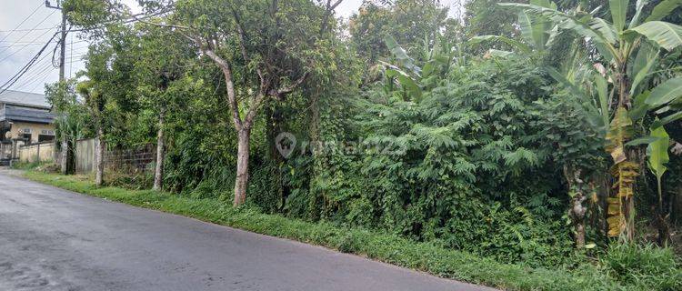 2.555 Sq.m. Plot Land In The Middle Of Bali Island For 99 Years 1