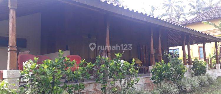 Last Paradise Bali Ubud Hideaway For Lease  1