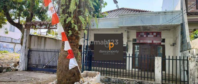 Dijual Rumah Tua di Cempaka Putih Tengah 209m2, Strategis. Hitung Tanah Saja  1