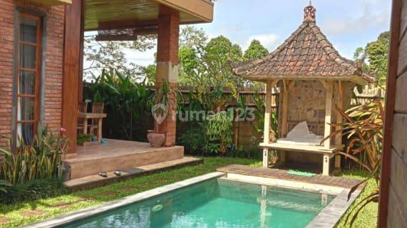 For Lease Cozy Villa With Rice Field View At Pejeng Ubud , Close From Ubud Market , Monkey Forest And Tegallalang 1