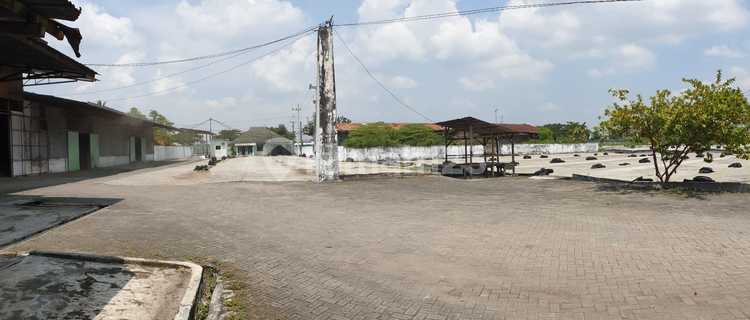 Dijual Gudang 4.900 M2 SHM di Gembong Lamongan 1