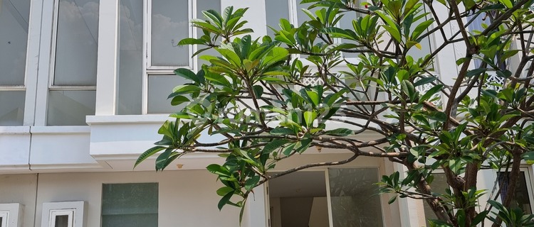 Affordable! New Ready-to-Occupy House Grand Pakuwon Tandes Surabaya East Java 1