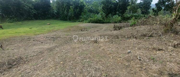 Kavling di Desa Ligarmukti, Cimande, Bogor *0005-CHRWID* 1