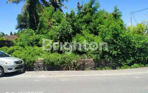 Tanah Sewa di Jalan Utama Ida Bagus Mantra, Gianyar 1