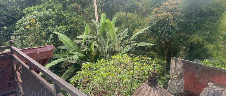 Rumah Ramah Lingkungan Dengan View Jungle di Sewakan di Ubud Bali 1