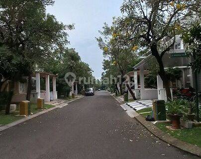 Disewakan Rumah di Cluster Vernonia Summarecon Bekasi 1