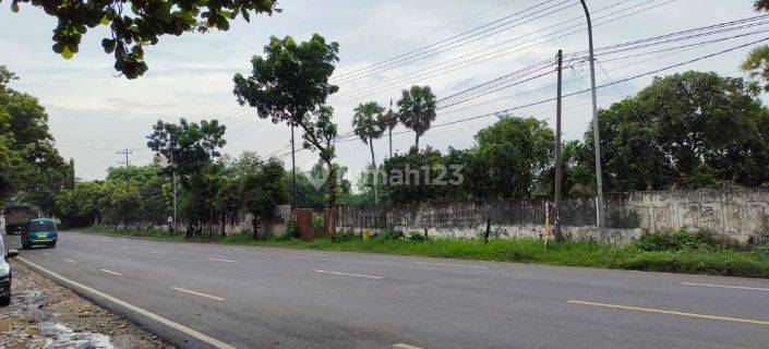 Dijual Tanah Di Pereng, Di 
pereng, Jenu, Tuban                        Jual Tanah Di Pereng, Jenu , Tuban                                                                       1