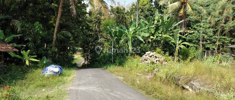 Tanah Kapling Di Argomulyo Jl Wates Km 9 Sedayu Bantul Yogyakarta 1