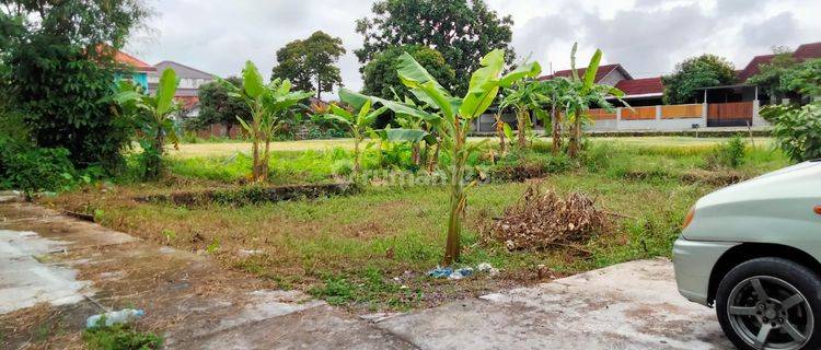 Tanah Murah di Juwangen Jl Sambisari Kalasan Sleman Yogyakarta 1