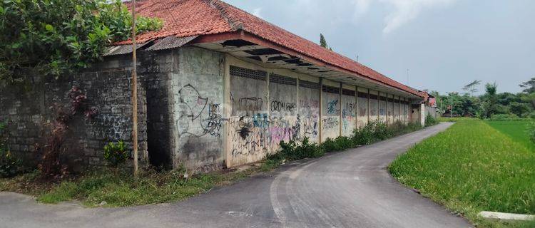 Tanah Luas di Jl Penggung Jatinom, Karanganom Klaten Jawa Tengah 1