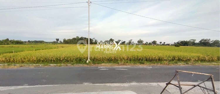 Tanah Prospektif 1839m2 Dekat Kantor Bupati Kanigoro Blitar 1