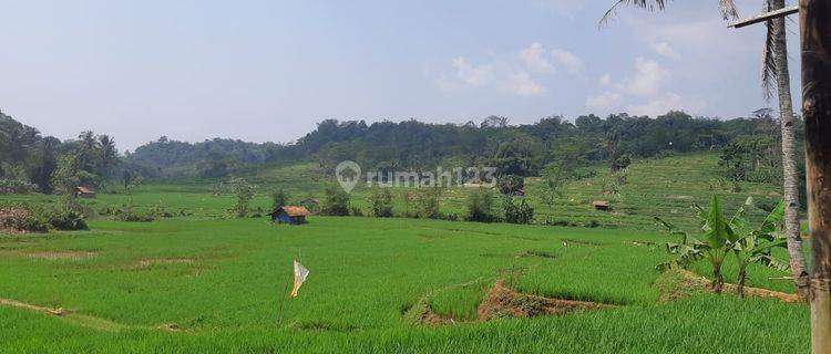 Tanah Agrowisata Subang 1