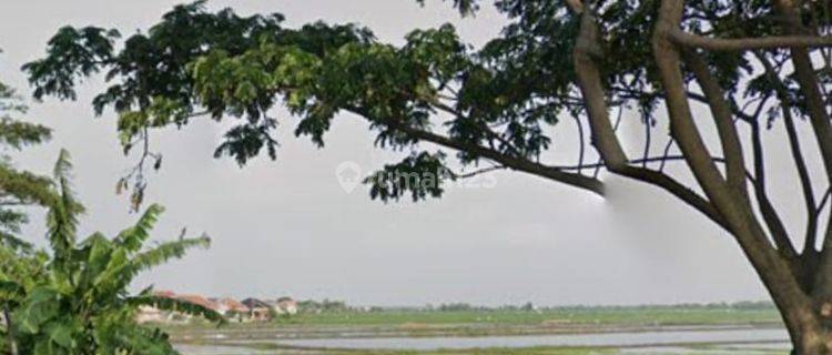 Tanah Industri ,Cirebon 1