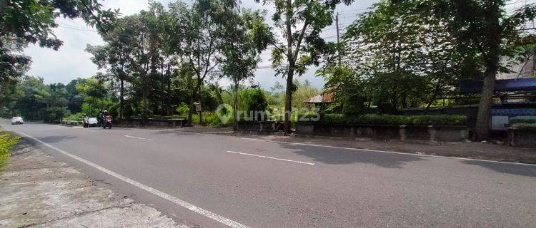 TANAH SUPER ISTIMEWA  DAN MURAH DI MUNTILAN  1