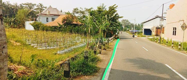 TANAH SUPER ISTIMEWA DAN MURAH DEKAT KAMPUS UII DI JALAN KALIURANG  KM 14 1