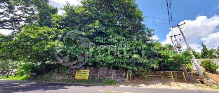 Tanah Murah Luas Banget Cocok Untuk Gudang,usaha di Jatinangor  1