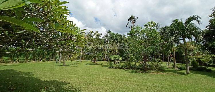 Villa Taman Luas Pering Gianyar Bali 1