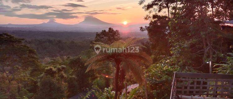 Tanah Glamping View Gunung Jatiluwih Tabanan Bali 1