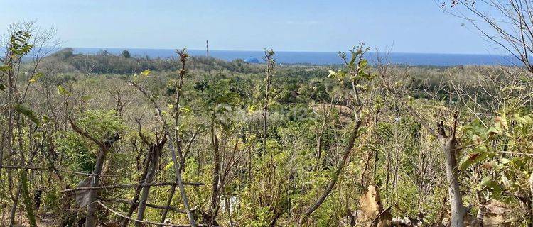 Large Land with Mountain and Sea Views, Buleleng, Bali 1