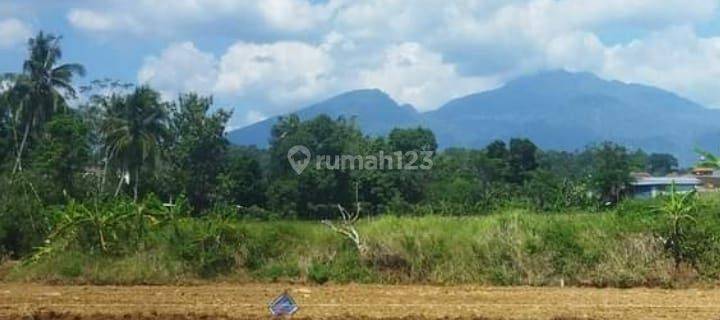 Kavling Gunung Pati Murah Nempel Jalan Raya Dekat Pasar 1