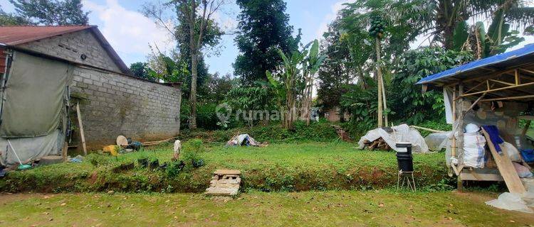 Kavling murah Boja hoek diperkampungan dekat SMKN 3 Boja 1