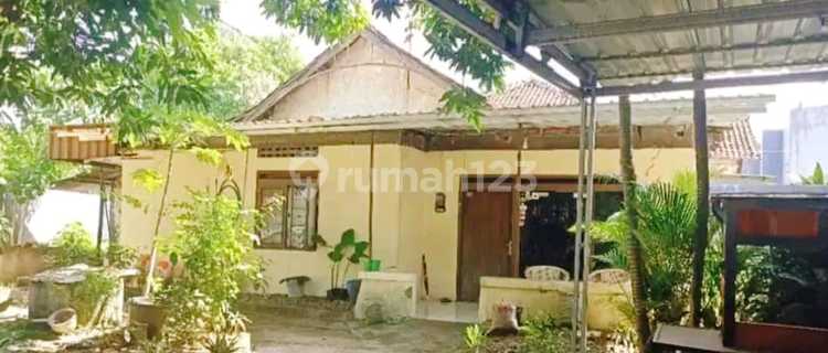 Rumah dan Tanah Luas Tengah Kota Semarang Dekat Sampokong 1