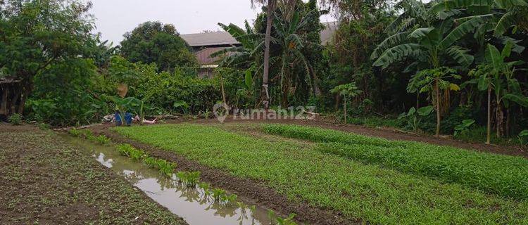 Lahan Cimone Super Murah, Kotamadya Tangerang 1