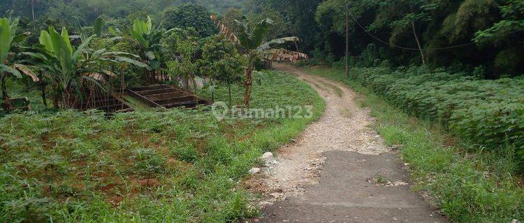 Tanah Murah Di Perumahan Ciampea Asri SHM Per Kavling. Promo Imlek 1