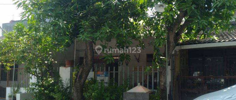 Jual Cepat Rumah Tlogosari Argomukti 1