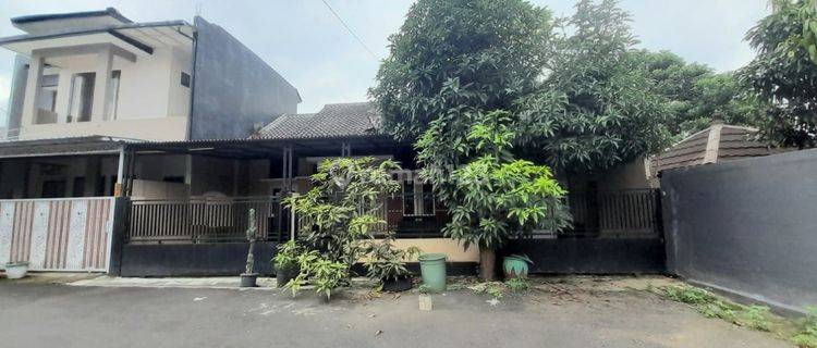 Rumah Strategis Tanjung Purwokerto Barat  1