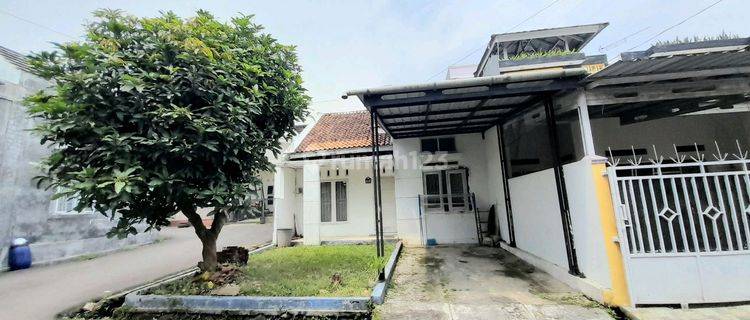 Rumah Hook Karanggintung Shm Halaman Belakang Luas 1