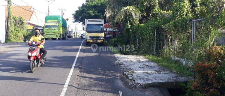  Tanah Di Muding Gatsu Shm - Sertifikat Hak Milik 600 M² 1