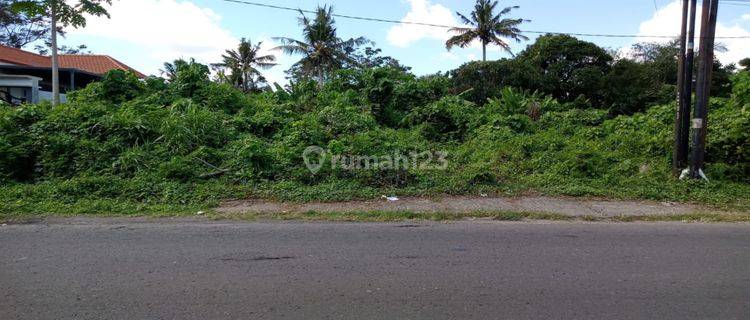  Tanah Tabanan Cocok Untuk Gudang Hak Milik 4600 M² 1