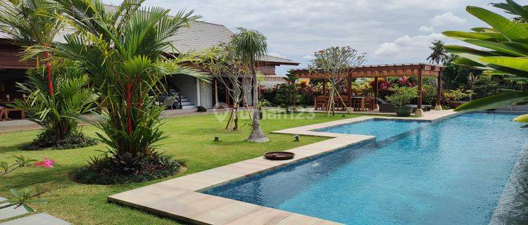  Rumah Villa Sewa Tahunan  Furnished Bagus SHM - Sertifikat Hak Milik di Canggu 1