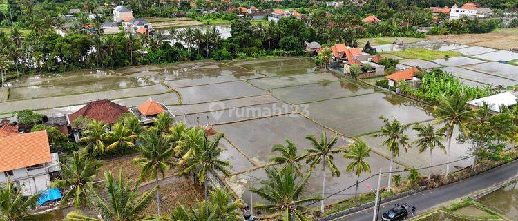  Tanah Kavling  di Ubud SHM - Sertifikat Hak Milik 460 M² 1