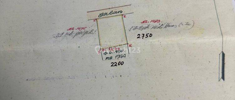  Tanah Murah Strategis  di Denpasar Utara SHM - Sertifikat Hak Milik Squaremeter 6050 1