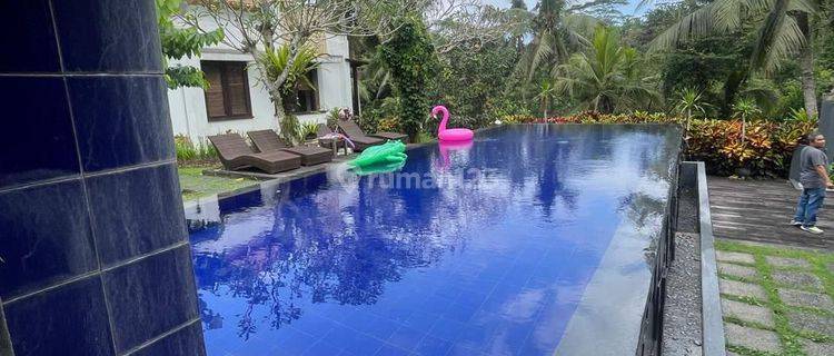 Villa Ubud  Furnished Rumah Bagus SHM - Sertifikat Hak Milik di Ubud 1