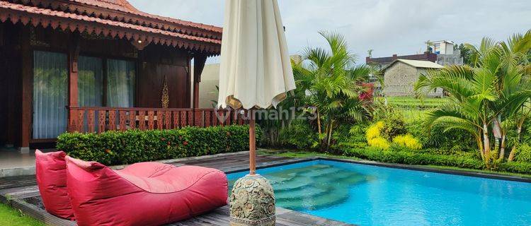 Rumah Semi Villa Furnished Kontrakan Bagus SHM - Sertifikat Hak Milik di Canggu 1