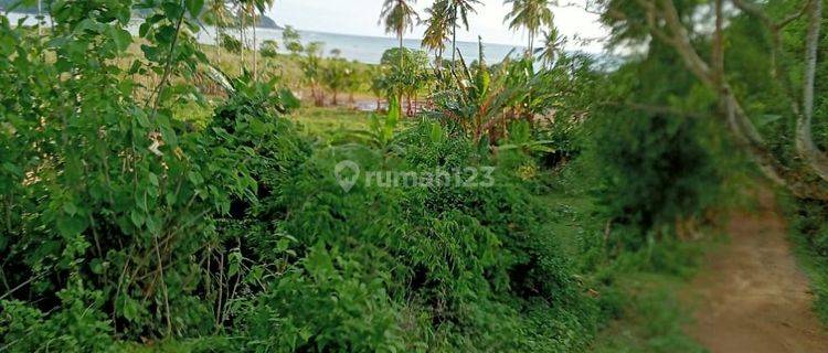 Tanah murah 2000 m2 SHM selong belanak lombok barat 1