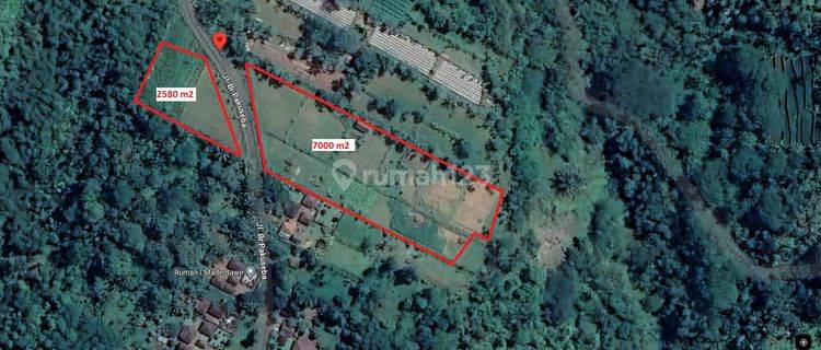  Tanah Murah  di Ubud SHM - Sertifikat Hak Milik 7000 Squaremeter 1