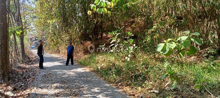  Tanah Murah  di Tempuran SHM - Sertifikat Hak Milik 342 Squaremeter 1