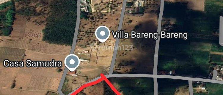 Tanah Murah View Pantai di Selong Belanak SHM - Sertifikat Hak Milik 300000 m² 1