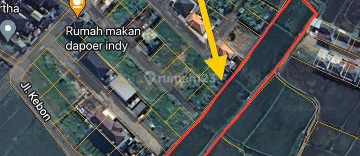  Tanah Sewa Murah  di Canggu SHM - Sertifikat Hak Milik 1740 Are 1