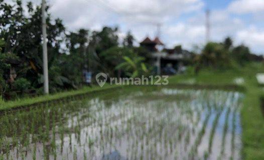 Tanah 28,2 Are View Sawah di Pejeng Kelod, Gianyar 1