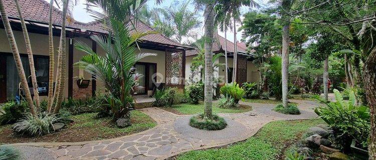 DEKAT SENTRAL UBUD!! HOTEL 11 Bungalow, 7 MENIT KE UBUD PALACE 1