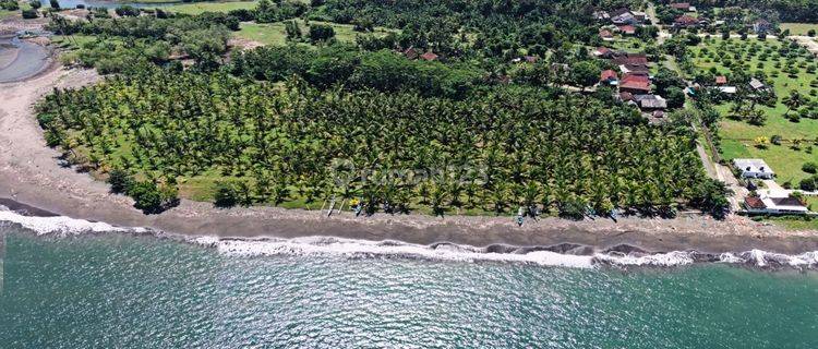 2.57 HECTARE BEACH LAND MELAYA BEACH, NUSASARI, JEMBRANA 1