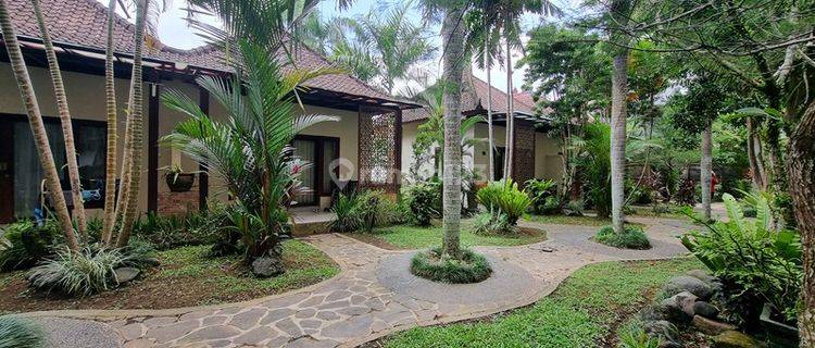 Dekat Sentral Ubud Hotel Resort 11 Bungalow, 7 Mnt Ke Ubud Palace 1