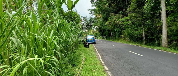 Tanah di Jalan Utama Payangan Dekat Padma Resort Ubud 1